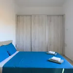 Apartment Palm