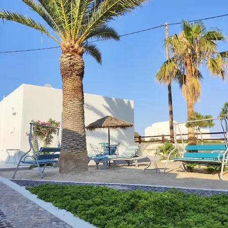 Palm Daire